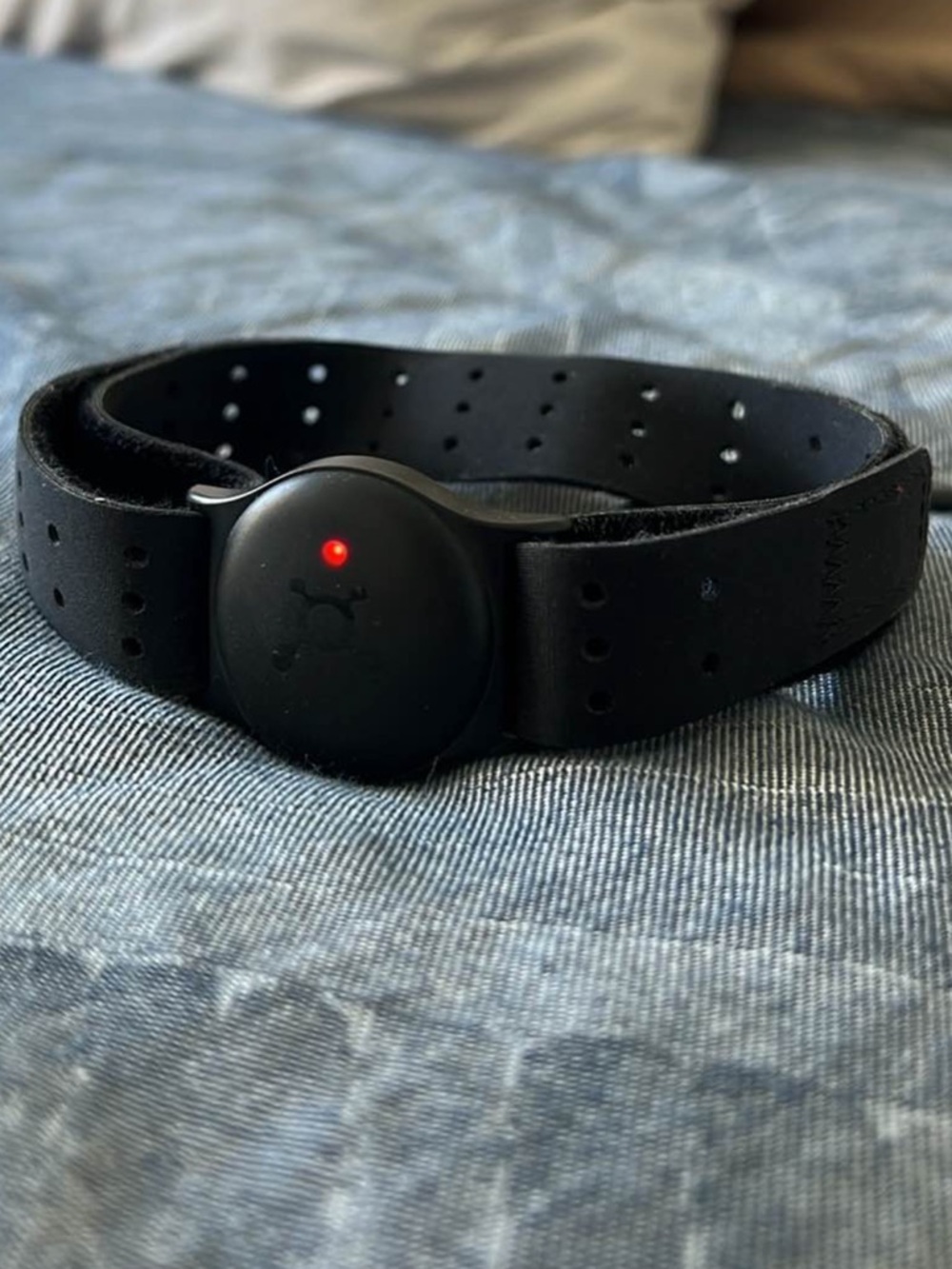 Orangetheory Black Perforated Fitness Wristband